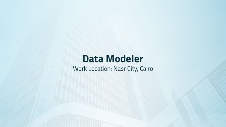 Data Modeler 