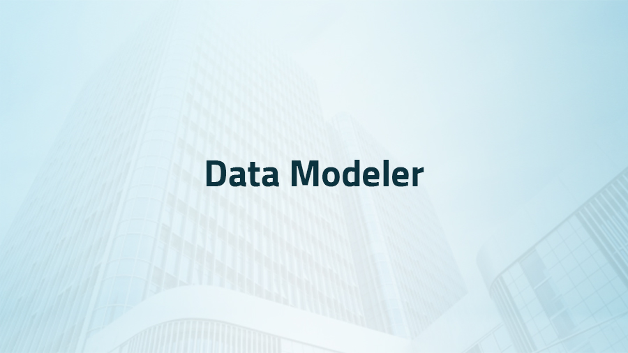 Data Modeler