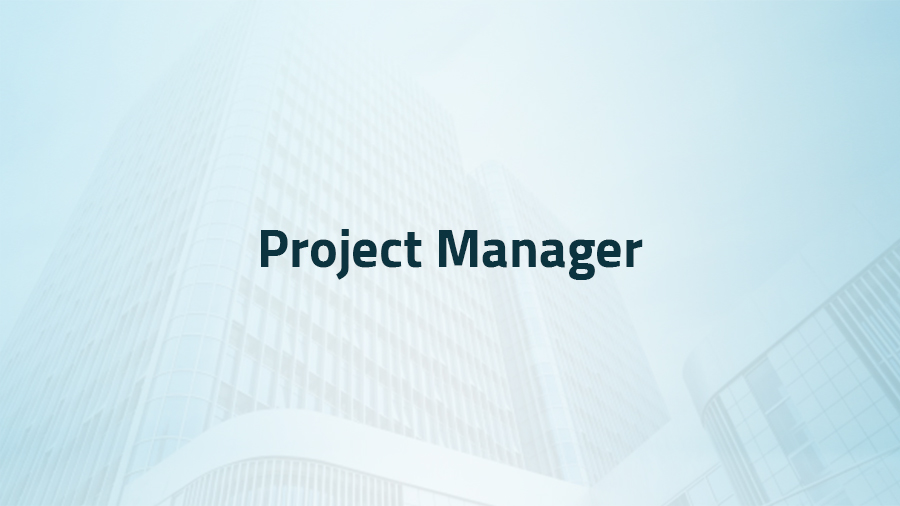 Project Manager