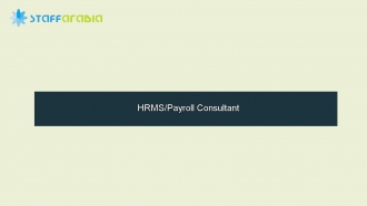 HRMS/Payroll Consultant