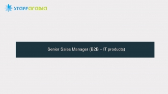 Senior Sales Manager (B2B – IT products)