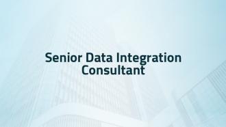 Senior Data Integration Consultant