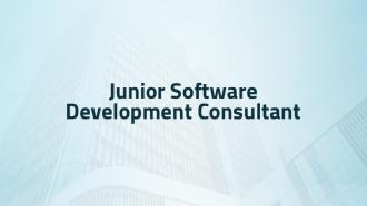 Junior Software Development Consultant