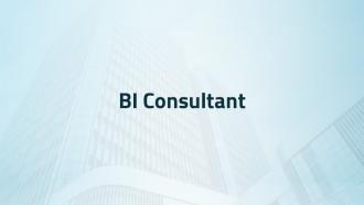 BI Consultant
