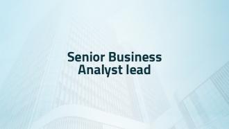 Senior Business Analyst lead