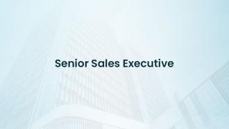Senior Sales Executive