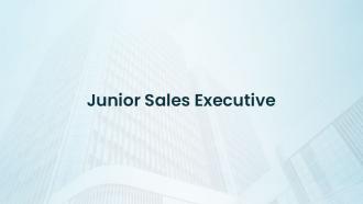 Junior Sales Executive
