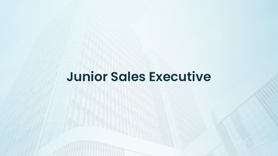 Junior Sales Executive